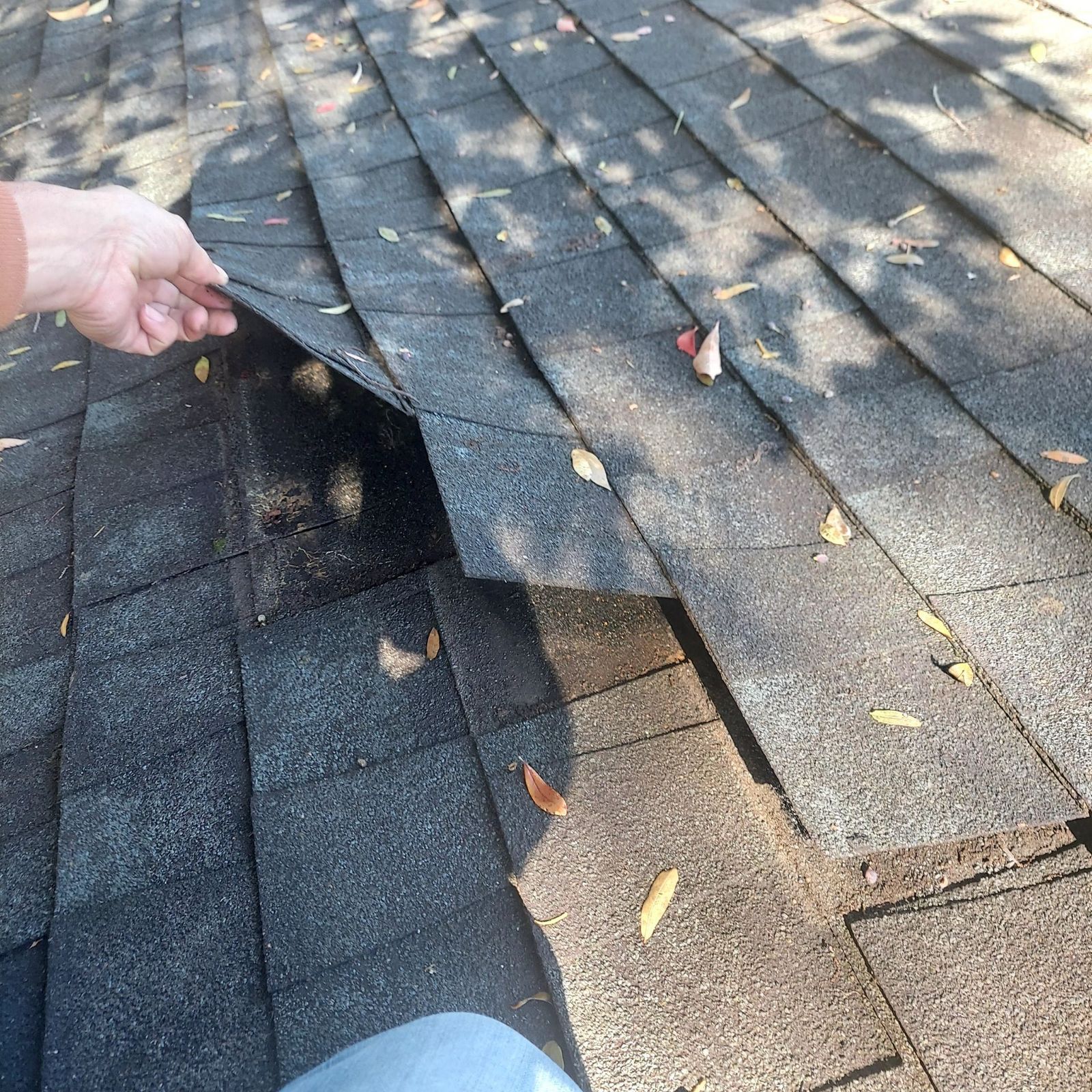 Hand lifting a loose shingle during a roof inspection